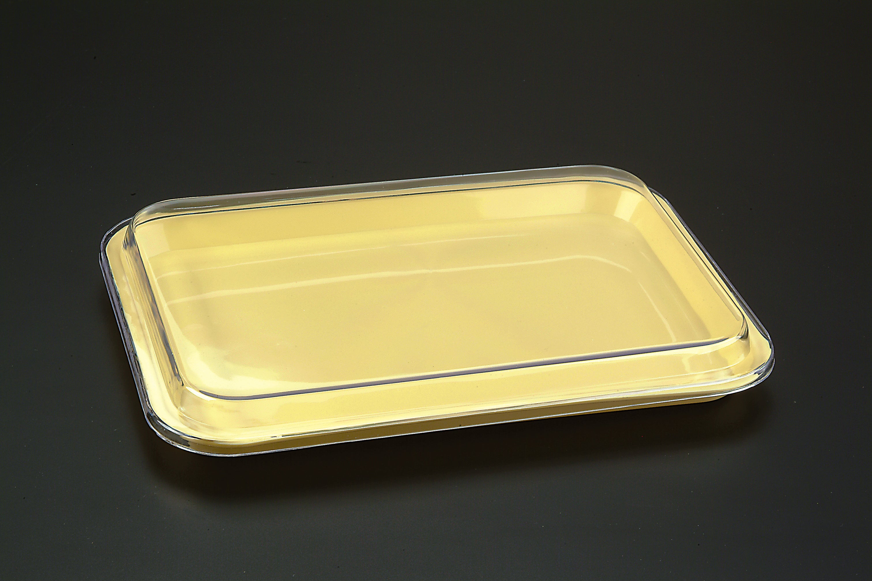 Plastic Tray Lid