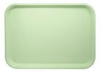 Green plastic tray