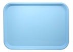 Light blue plastic tray