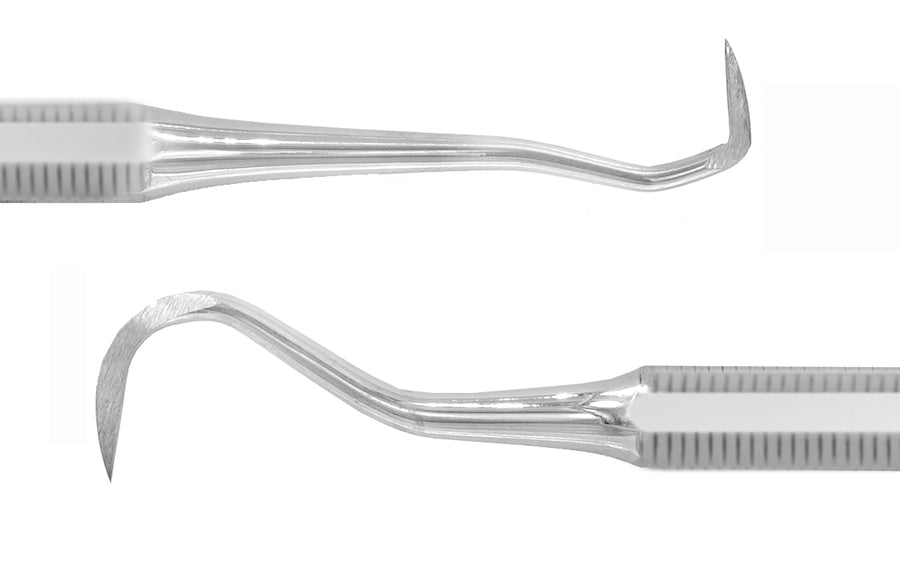 Director and Scaler (Custom Chopped)