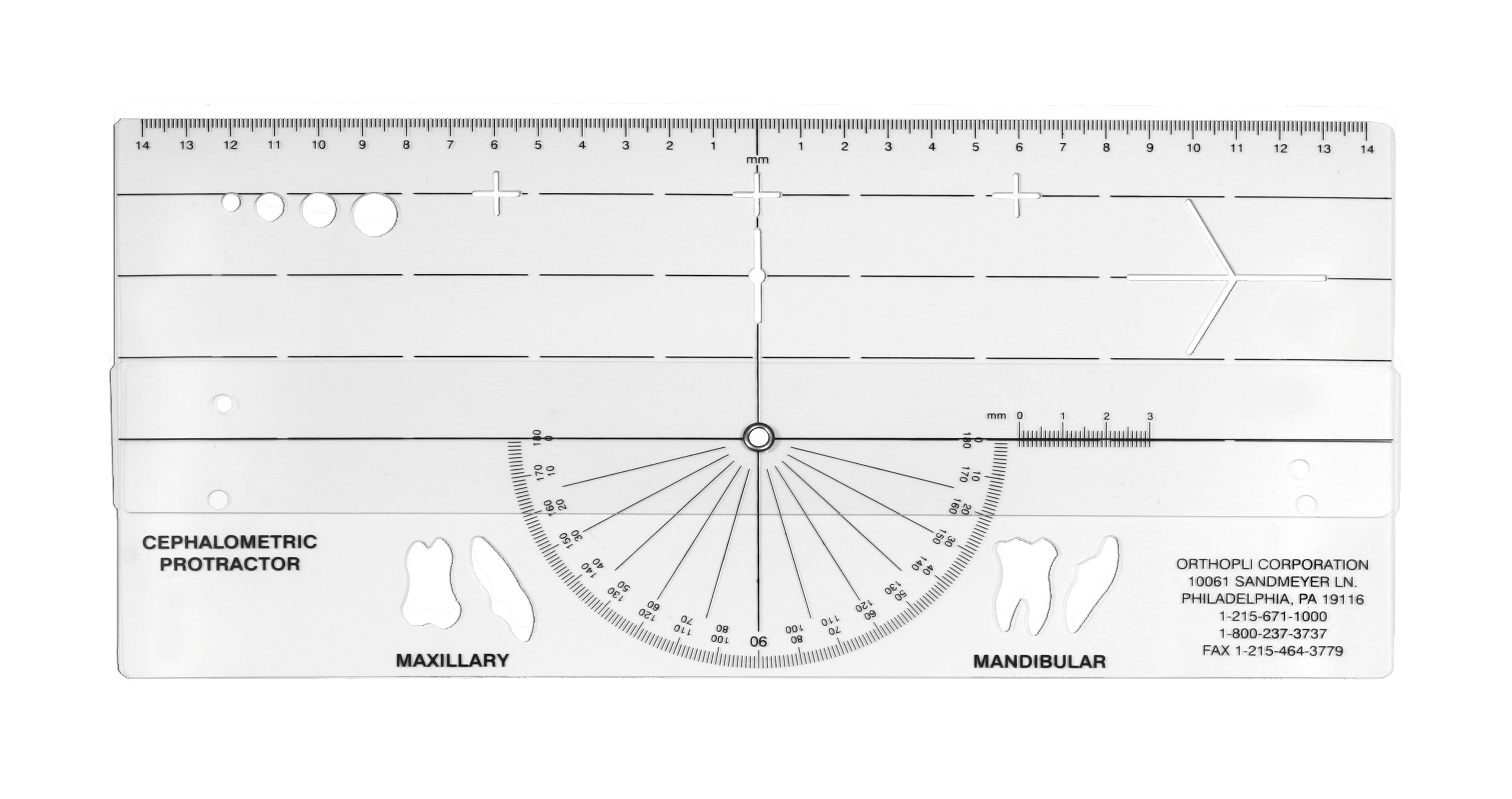 Cephalometric Protractor Template