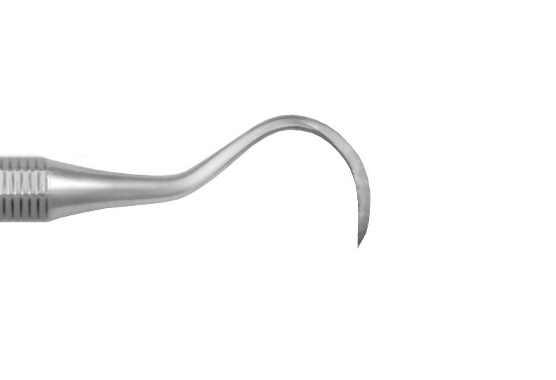 Director and Large Hooked Scaler